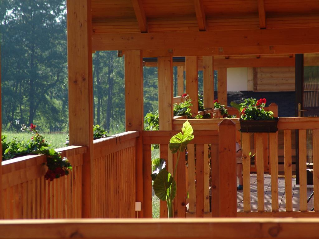 Complex Agroturistic Livada De Nuci Villa Baia de Fier Exterior photo
