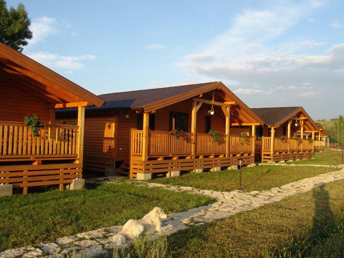 Complex Agroturistic Livada De Nuci Villa Baia de Fier Exterior photo