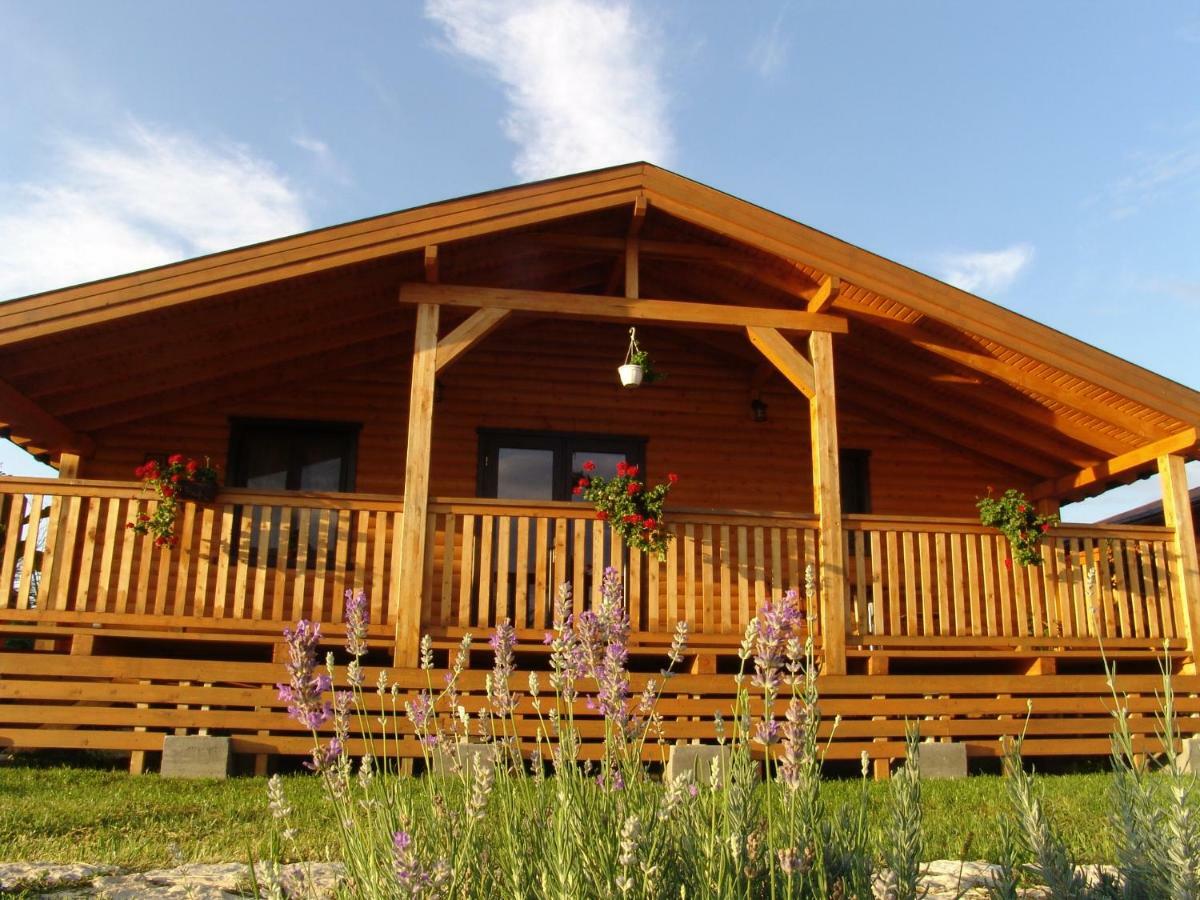 Complex Agroturistic Livada De Nuci Villa Baia de Fier Exterior photo
