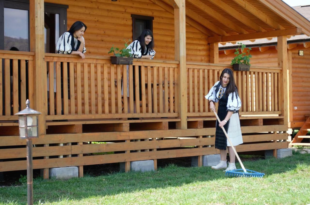 Complex Agroturistic Livada De Nuci Villa Baia de Fier Exterior photo